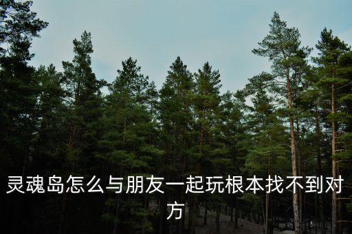 灵魂岛怎么与朋友一起玩根本找不到对方