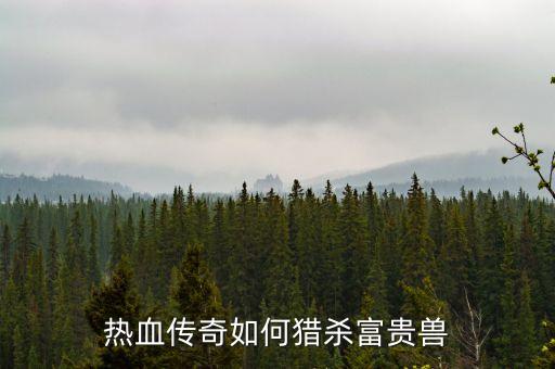 热血传奇如何猎杀富贵兽