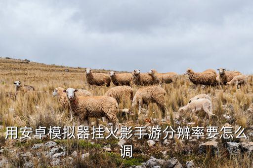 用安卓模拟器挂火影手游分辨率要怎么调