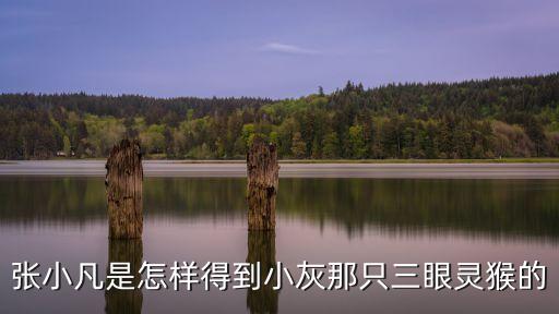 新诛仙手游小灰怎么获得，诛仙 小灰在哪