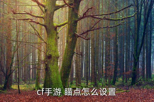cf手游 瞄点怎么设置
