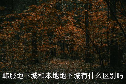 韩服地下城和本地地下城有什么区别吗