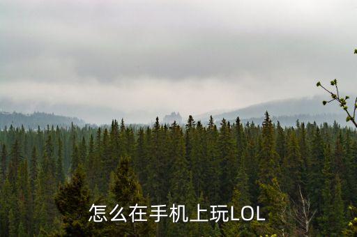 怎么免费登录手游英雄联盟，怎么登陆掌上英雄联盟