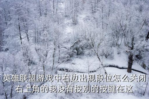 英雄联盟游戏中右边出现段位怎么关闭右上角的我没有按别的按键在这