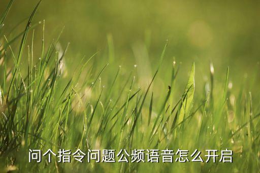 问个指令问题公频语音怎么开启