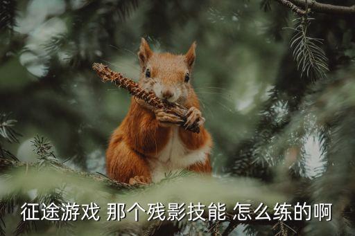 征途游戏 那个残影技能 怎么练的啊