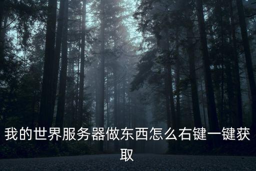 我的世界服务器做东西怎么右键一键获取