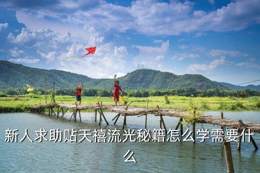 天师手游流光技能怎么升级，梦幻飞仙天师技能怎么升
