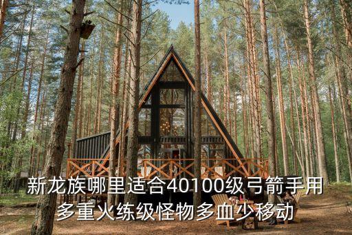新龙族哪里适合40100级弓箭手用多重火练级怪物多血少移动