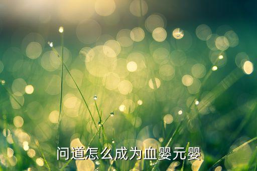 问道怎么成为血婴元婴
