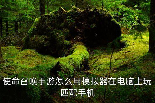 使命召唤手游怎么用模拟器在电脑上玩匹配手机