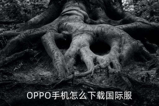 OPPO手机怎么下载国际服
