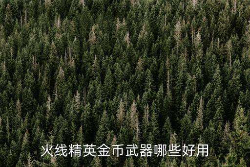 火线精英金币武器哪些好用