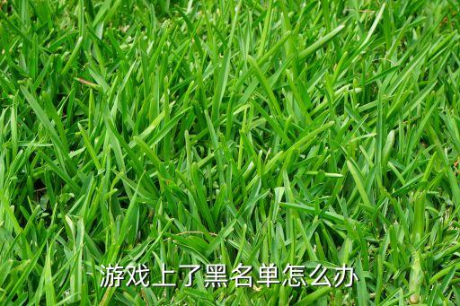 游戏上了黑名单怎么办