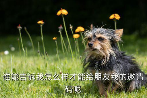 谁能告诉我怎么样才能给朋友我的邀请码呢
