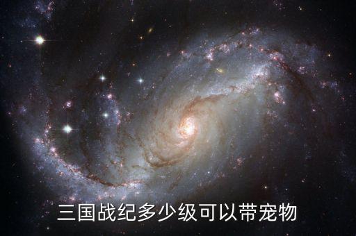 三国战纪多少级可以带宠物