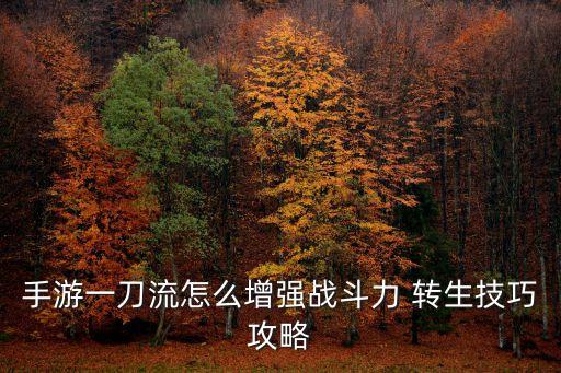 手游一刀流怎么增强战斗力 转生技巧攻略