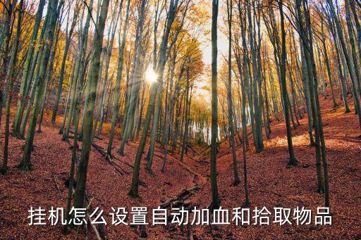 挂机怎么设置自动加血和拾取物品