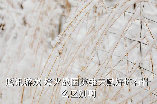 手游英雄天赋怎么样，英雄什么天赋好