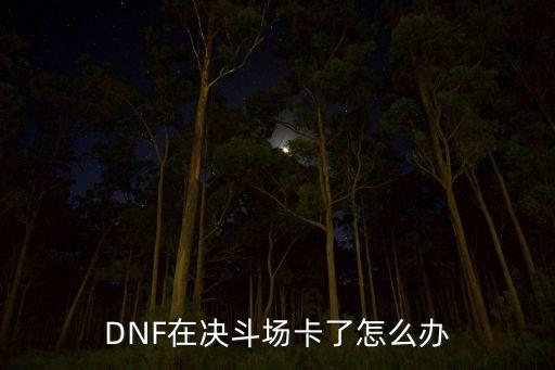 dnf手游pk卡顿怎么办，DNF在决斗场卡了怎么办