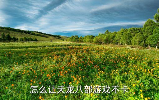 怎么让天龙八部游戏不卡