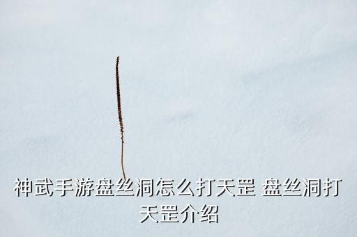 问道手游狮驼岭怎么打宝宝，狮驼岭的孩子怎么打技能书