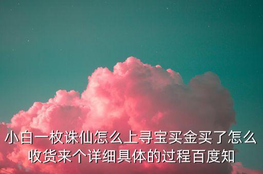 小白一枚诛仙怎么上寻宝买金买了怎么收货来个详细具体的过程百度知