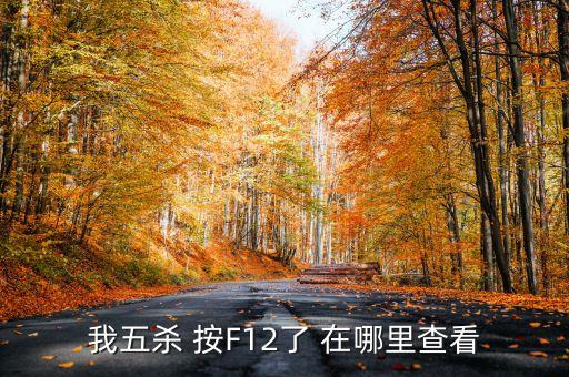 我五杀 按F12了 在哪里查看