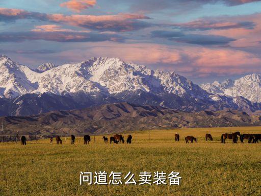 问道怎么卖装备