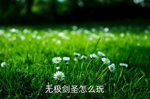 无极剑圣怎么玩