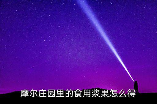 手游摩尔庄园橙色浆果怎么弄，摩尔庄园的七色果浆怎样得到