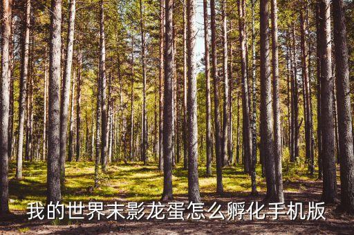 我的世界末影龙蛋怎么孵化手机版
