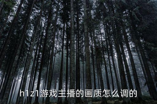 抖音直播手游画面小怎么办，视频图像很小怎么办
