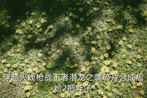 穿越火线枪战王者潜龙之啸碎片合成后给2把斧子