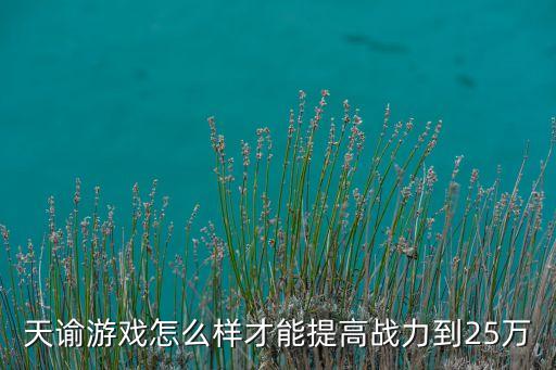 天谕游戏怎么样才能提高战力到25万