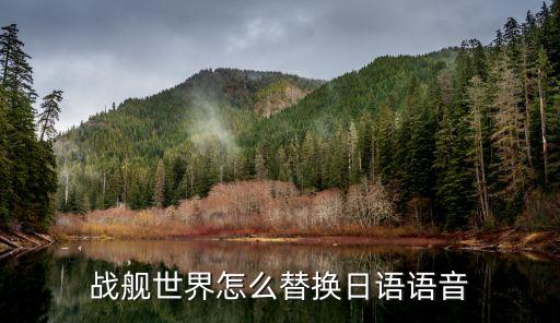 战舰世界手游怎么改中文，战舰世界亚服怎样改语言