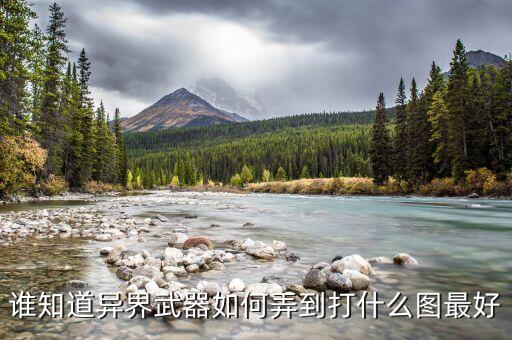 谁知道异界武器如何弄到打什么图最好