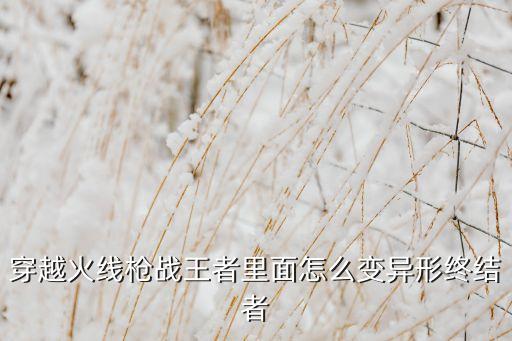 穿越火线枪战王者里面怎么变异形终结者