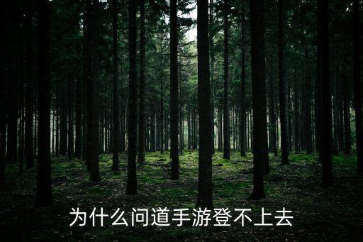 为什么问道手游登不上去
