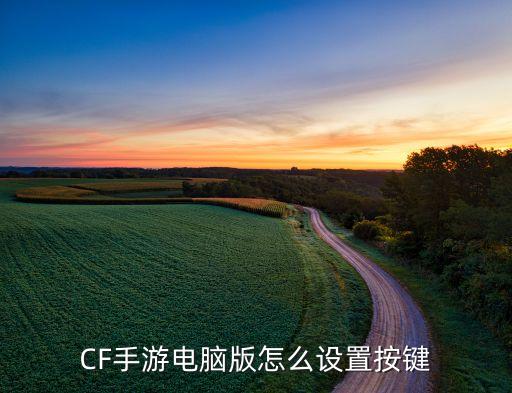 CF手游电脑版怎么设置按键