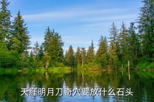 天涯明月刀奇穴要放什么石头