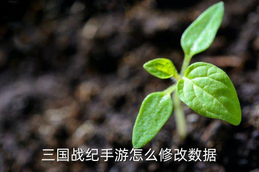 三国战纪手游怎么修改数据