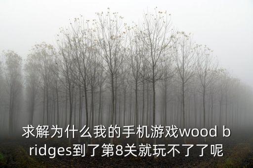 求解为什么我的手机游戏wood bridges到了第8关就玩不了了呢