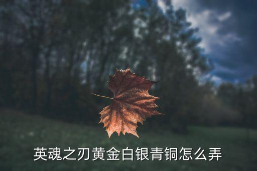 英魂之刃黄金白银青铜怎么弄