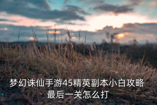 梦幻诛仙手游45精英副本小白攻略 最后一关怎么打