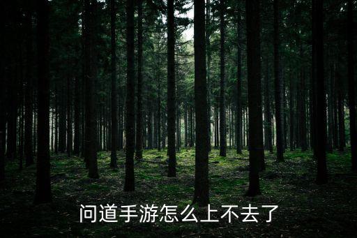 问道手游怎么上不去了