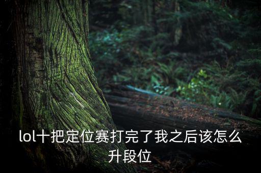 lol十把定位赛打完了我之后该怎么升段位