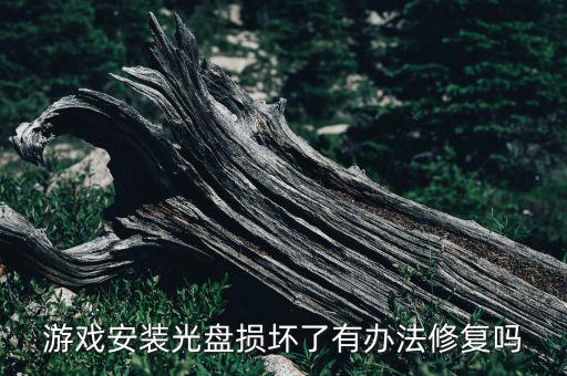 游戏安装光盘损坏了有办法修复吗