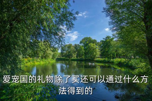 爱宠国的礼物除了买还可以通过什么方法得到的