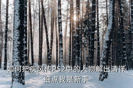 如何把疾风传PS2中的人物解出请详细点我是新手
